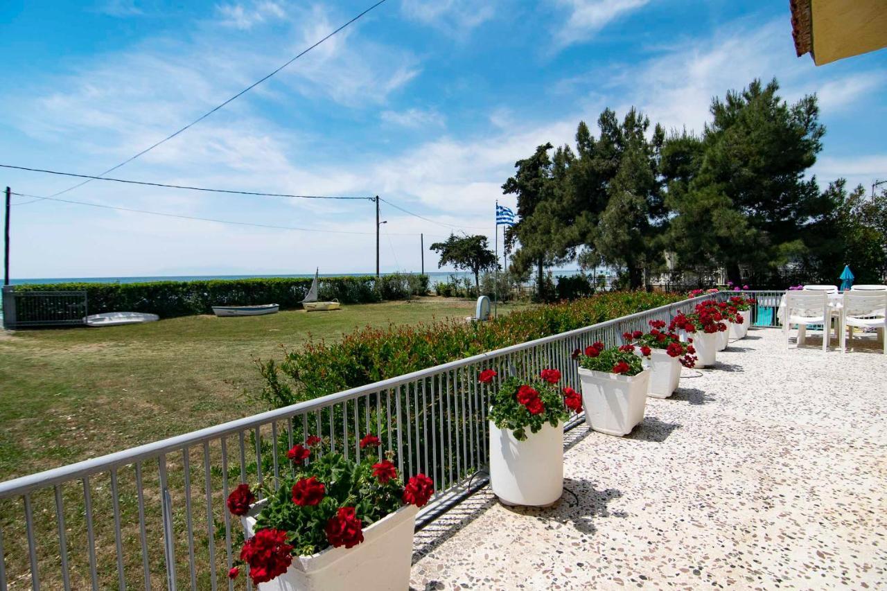 Clio Beach House By Travel Pro Services - Metochi Halkidiki Sozopoli Exteriör bild