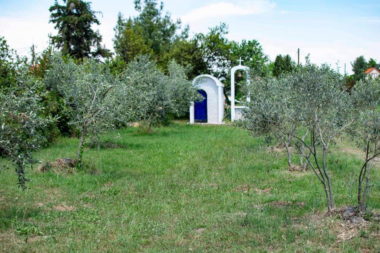 Clio Beach House By Travel Pro Services - Metochi Halkidiki Sozopoli Exteriör bild