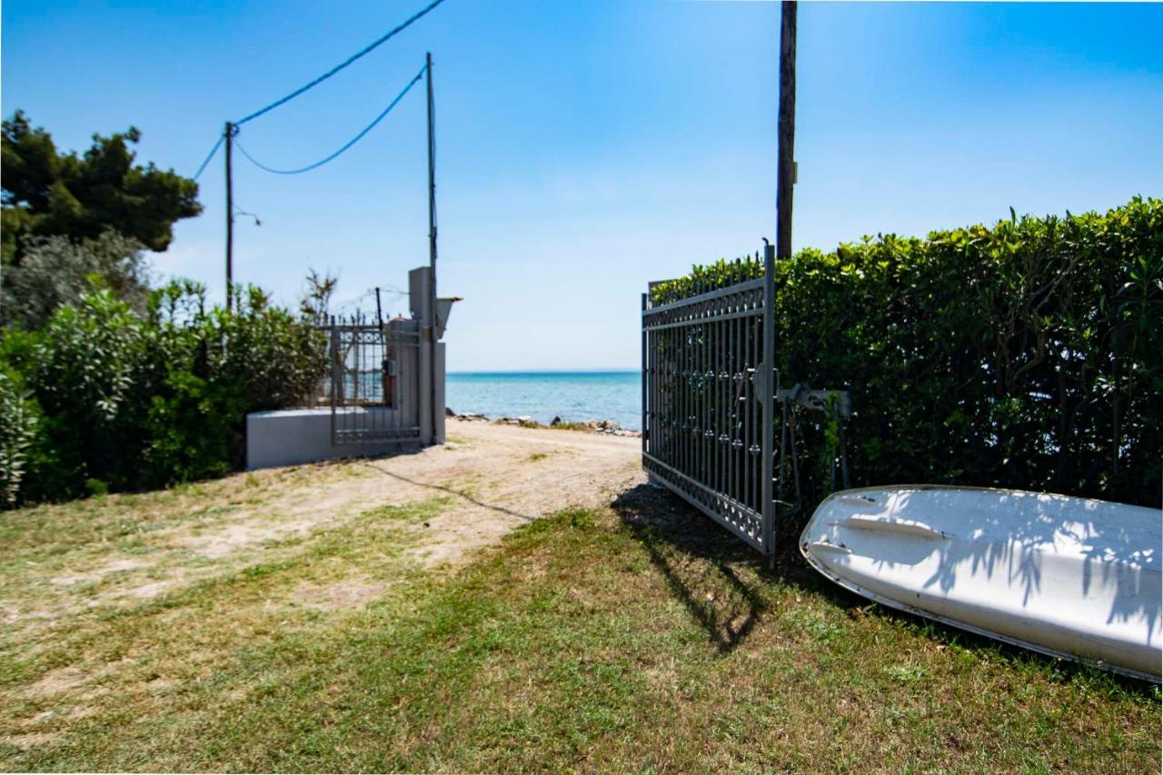 Clio Beach House By Travel Pro Services - Metochi Halkidiki Sozopoli Exteriör bild