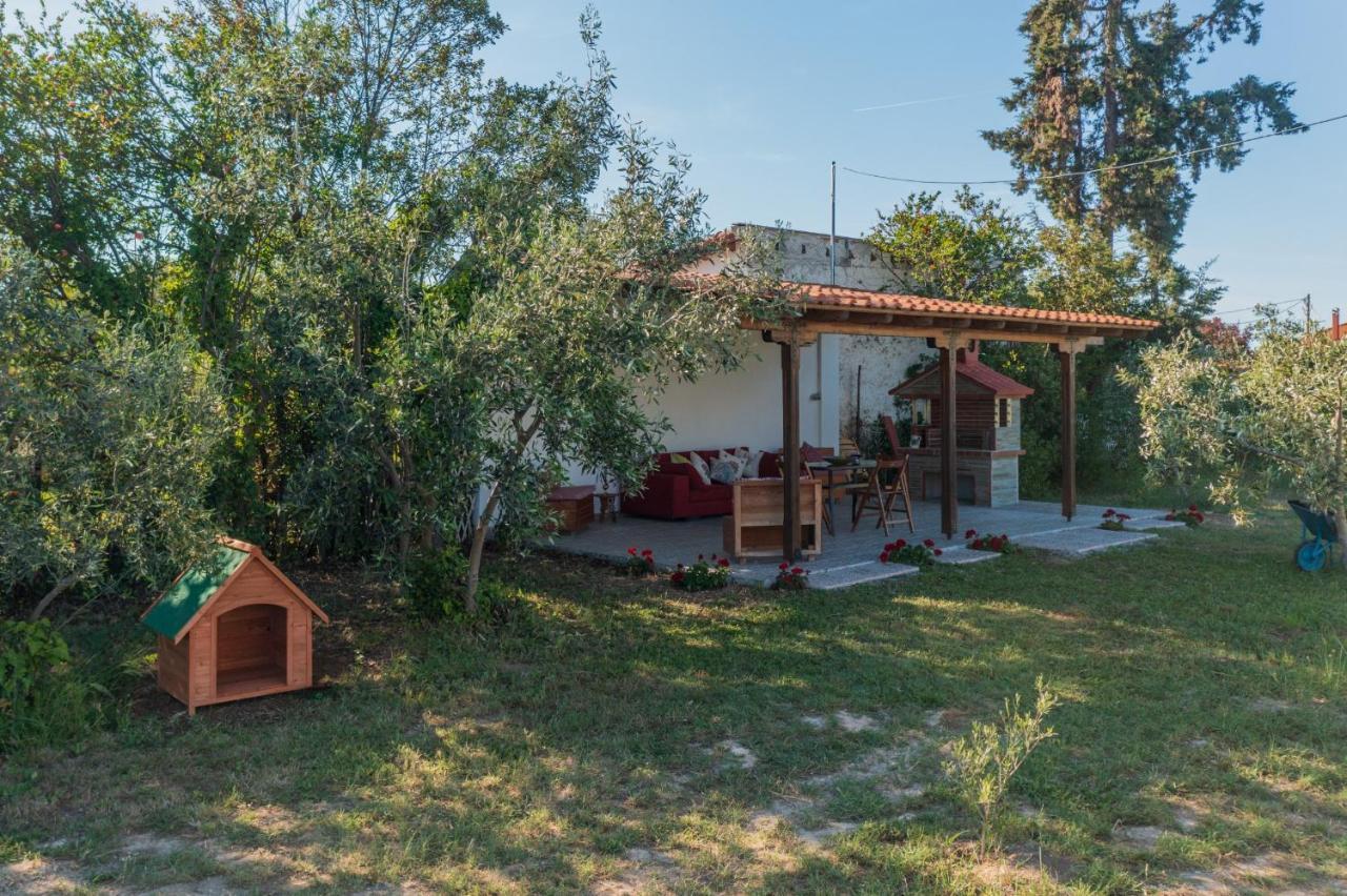 Clio Beach House By Travel Pro Services - Metochi Halkidiki Sozopoli Exteriör bild